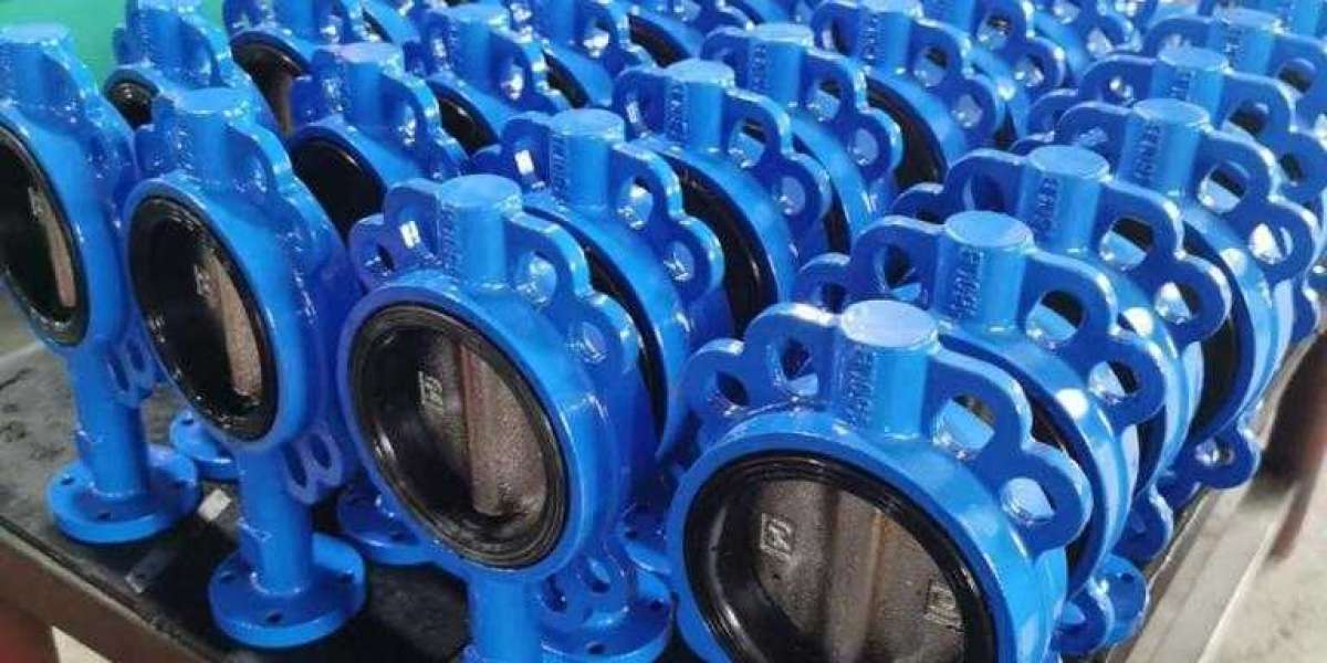 Butterfly Valve Manufacturer in India