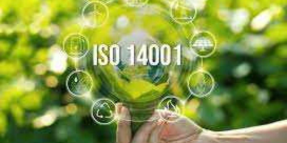 iso 14001 lead auditor training online