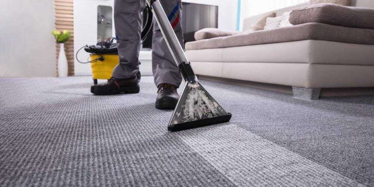Enhance Your Home's Beauty and Health with Professional Carpet Cleaning