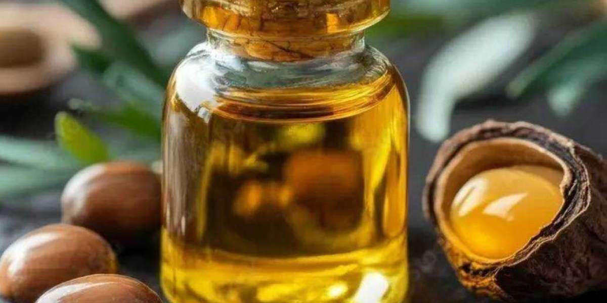 Argan Oil Bulk Manufacturer: Best Choice of Essential Oils