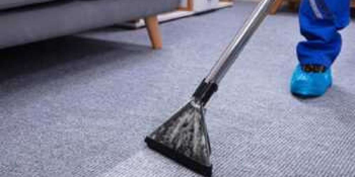 The Benefits of Professional Carpet Cleaning for Reducing Dust Mites